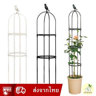 ✅ส่งไว✅ ขนาดใหญ่ ทรงสูง 120-205 cm 🍃 กันสนิม  ซุ้มไม้เลื้อย …