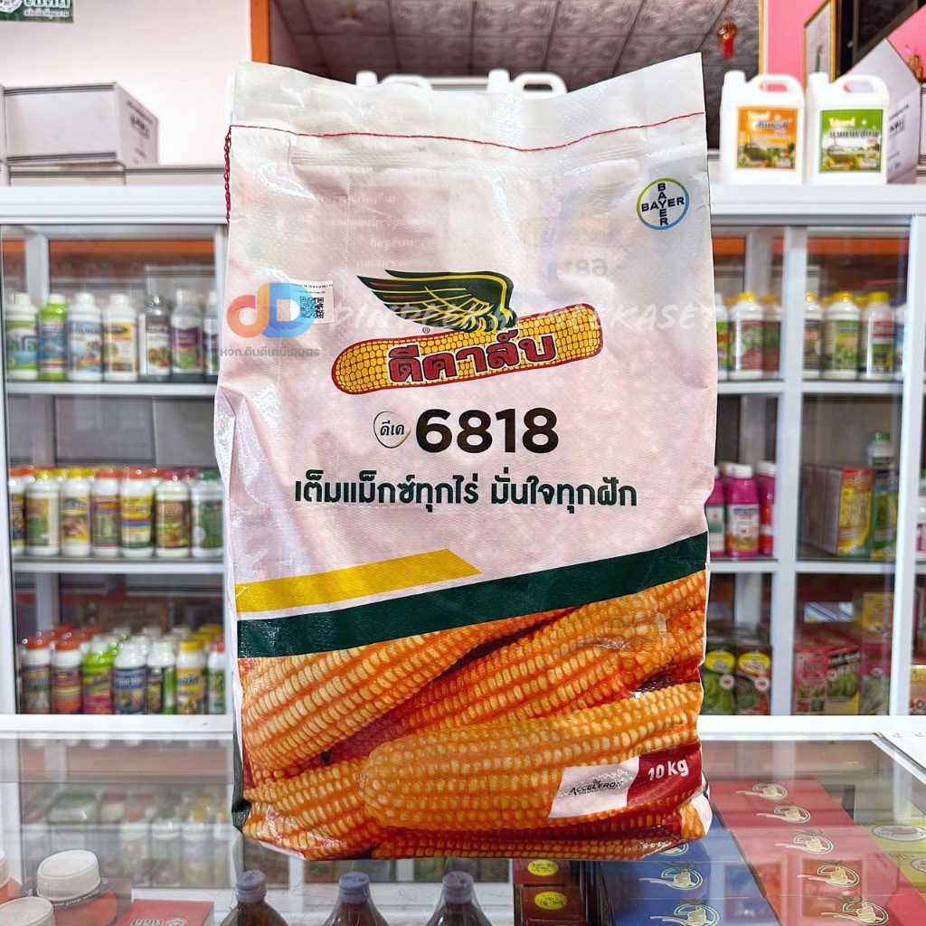 เมล็ดพันธุ์ข้าวโพดดีคาล์บ ดีเค 6818 : 10 กิโลกรัม (3.5หุน) เต็มแม็กซ์ทุกไร่ มั่นใจทุกฝัก ผลผลิตสูง ฝักใหญ่สม่ำเสมอ