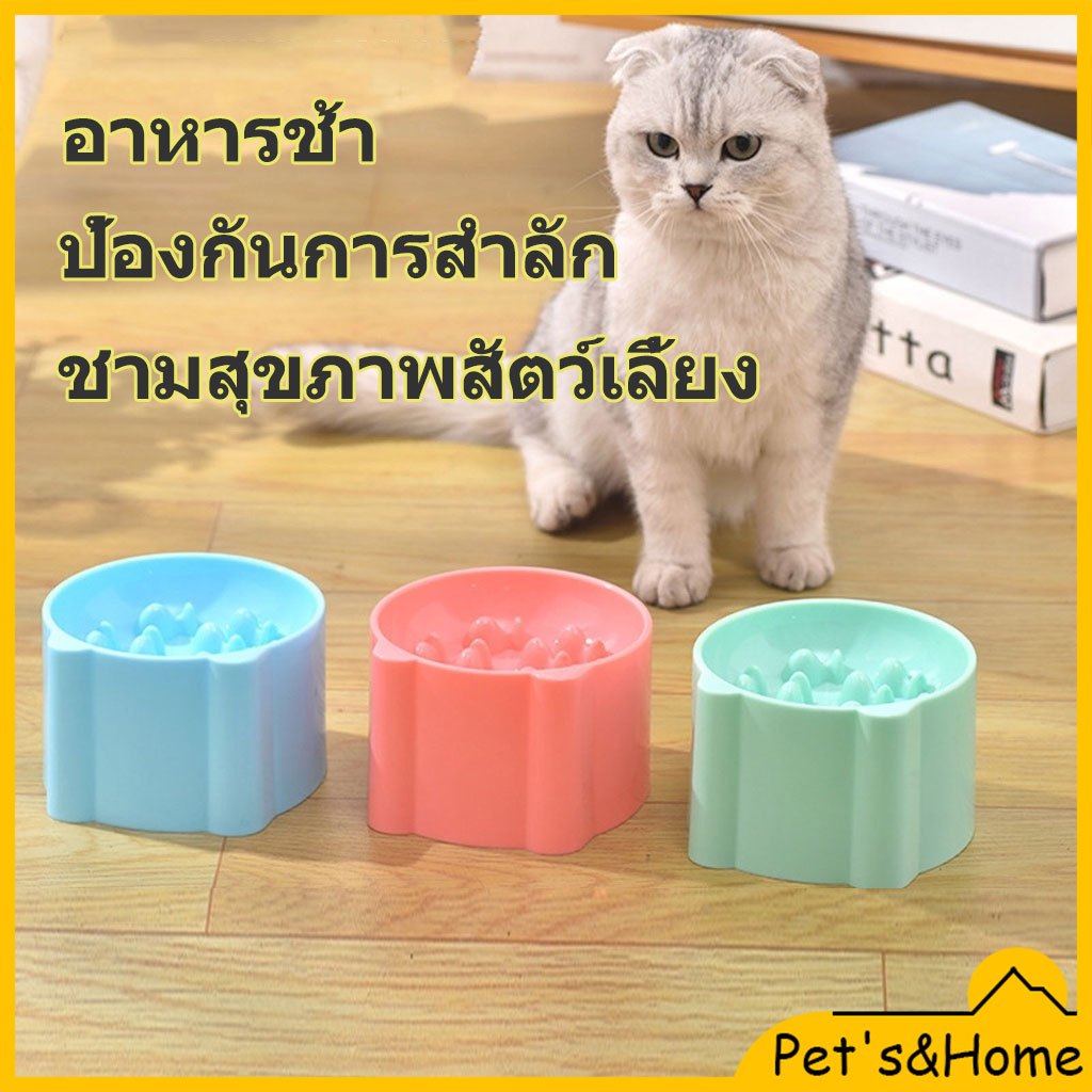 ชามใส่อาหาร ทรงสูง ป้องกันการสําลัก ลายการ์ตูน จุของได้เยอะ สําหรับสัตว์เลี้ยง สุนัข แมว