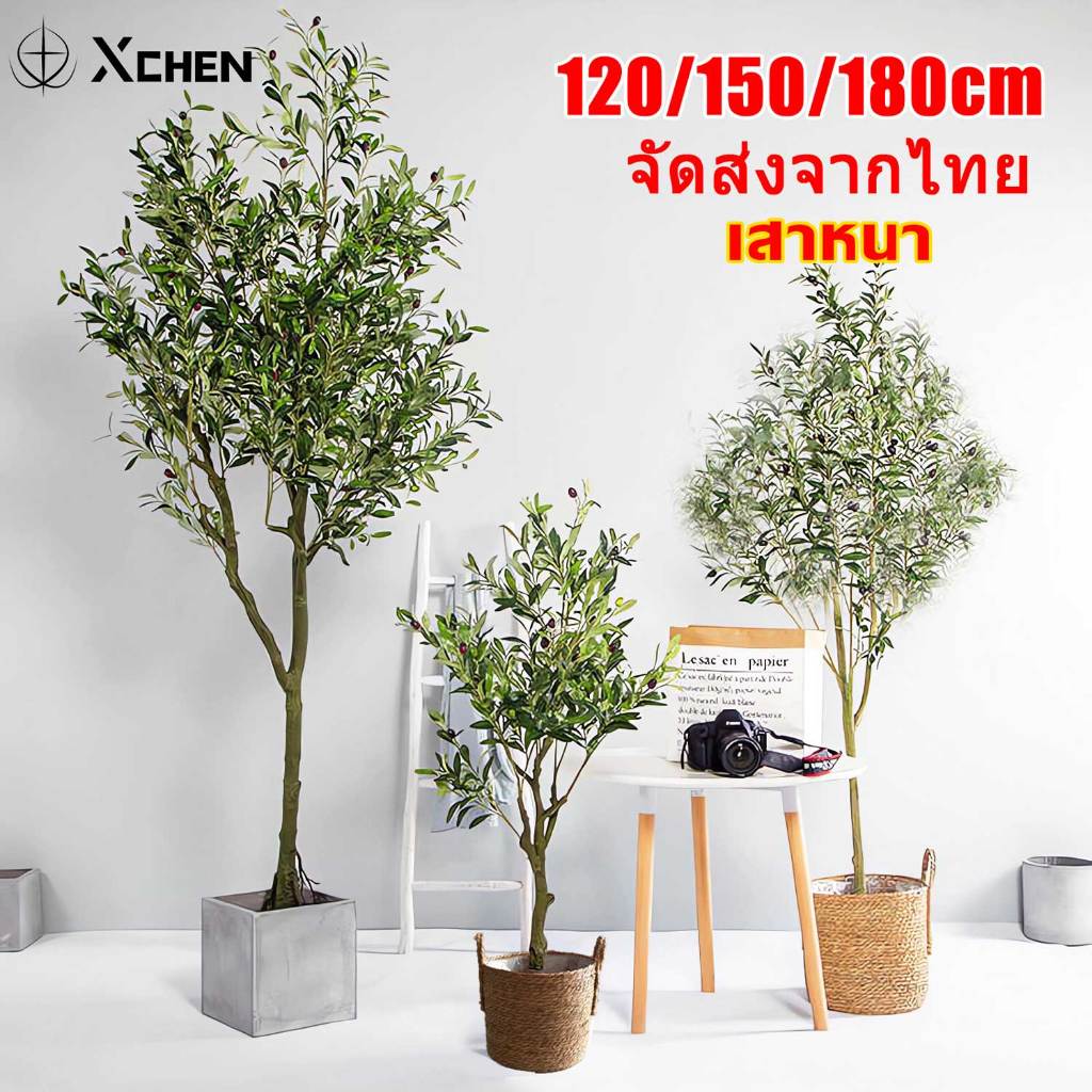 【สั่งแล้วฟรีกระถางดอกไม้】ต้นโอลีฟ ต้นมะกอกปลอม120/150/180cm สไตล์นอร์ดิกอิน ลำต้นสีน้ำตาลเหมือนของจริง ต้นไม้ปลอมใหญ่