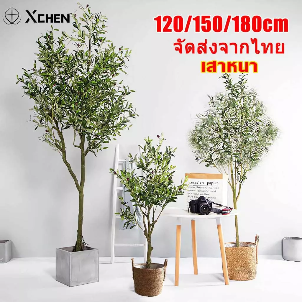 【สั่งแล้วฟรีกระถางดอกไม้】ต้นโอลีฟ ต้นมะกอกปลอม120/150/180cm สไตล์นอร์ดิกอิน ลำต้นสีน้ำตาลเหมือนของจริง ต้นไม้ปลอมใหญ่