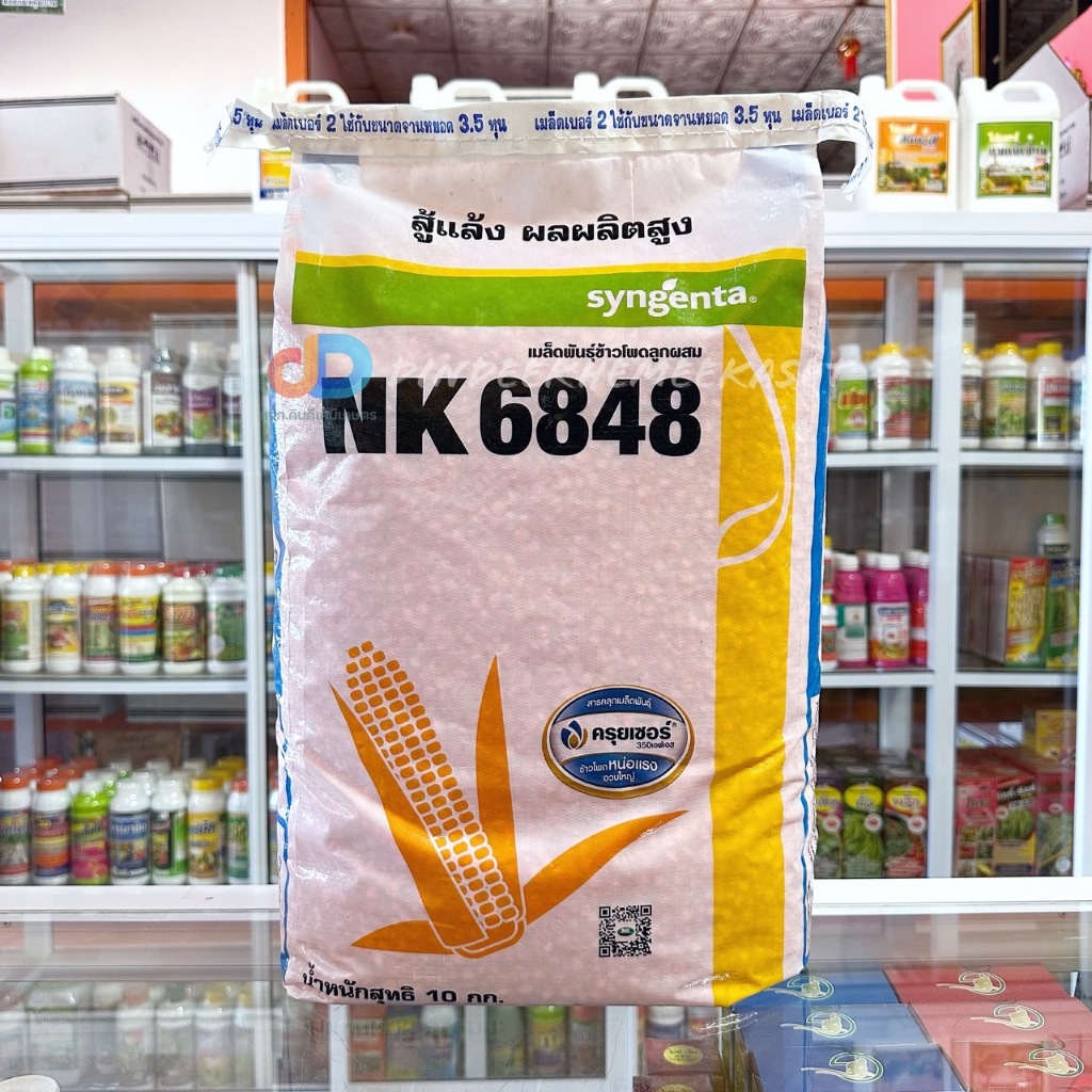 เมล็ดพันธุ์ข้าวโพด NK 6848 : 10 กิโลกรัม (3.5หุน) สู้แล้ง ผลผลิตสูง พันธุ์ข้าวโพดเก็บสด ลำต้นแข็งแรง