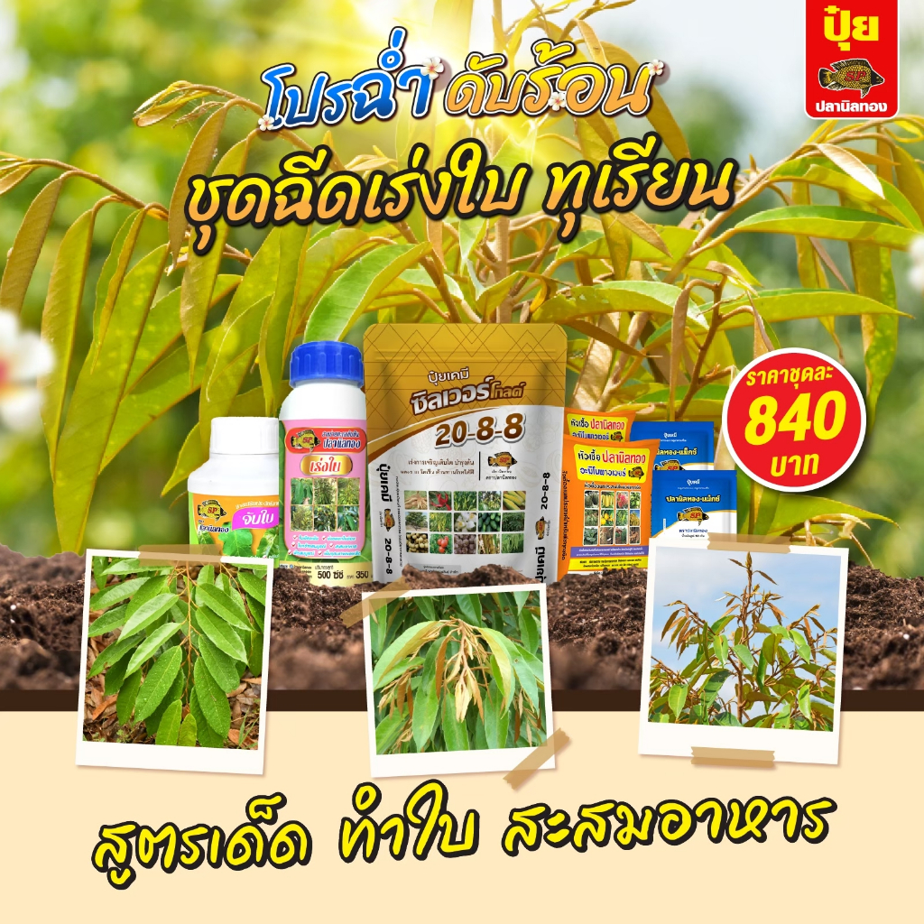 ชุดฉีดทางใบทุเรียน ตราปลานิลทอง
