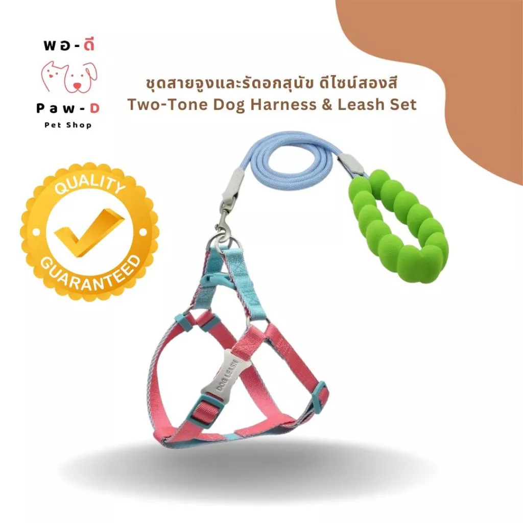 PAW-D ชุดสายจูงและรัดอกสุนัข ดีไซน์สองสี Two-Tone Dog Harness & Leash Set