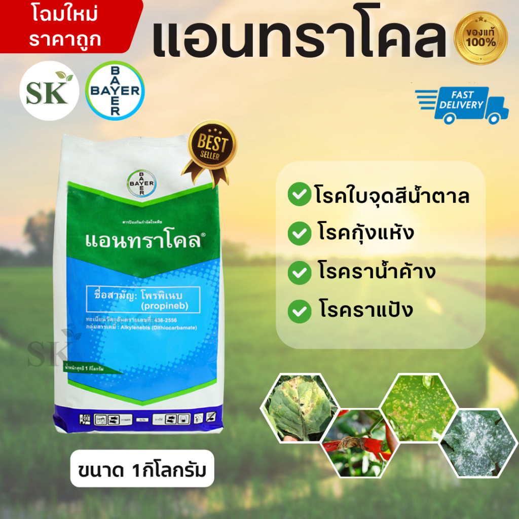 💥แอนทราโคล (โพรพิเนบ) ป้องกันเชื้อราใบจุด ราน้ำค้าง แอนแทรคโนส ขนาด1กิโลกรัม