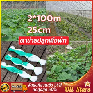 ตาข่ายปลูกผัก ค้างถั่วฝักยาว ตาข่ายปลูกทัวร์ ข่ายแปงผัก ตาข่…