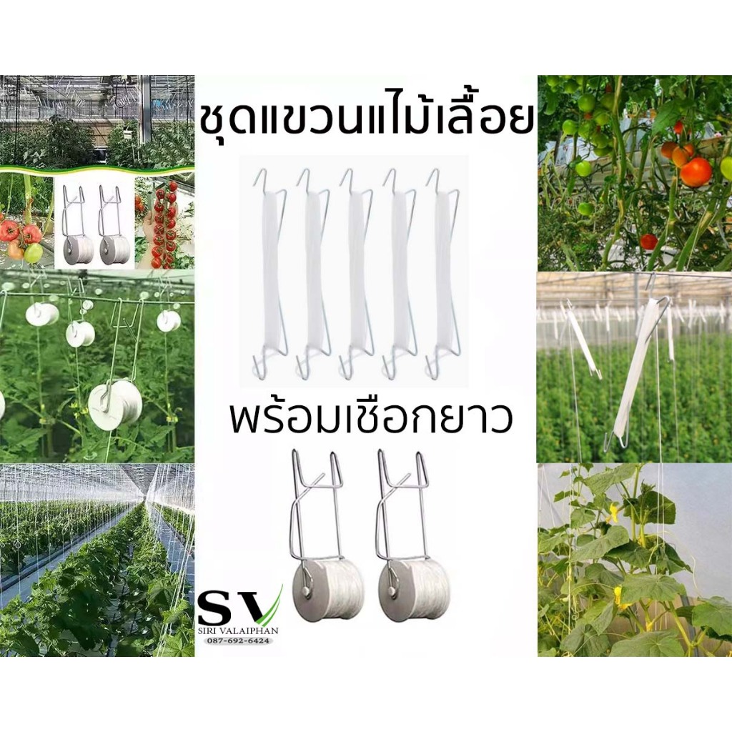 ชุดแขวนไม้เลื้อย พร้อมเชือกยาว 10-15 เมตร สำหรับแขวนไม้เลื้อย เมล่อน องุ่น มะเขือเทศ เกษตรโรงเรือนแนวตั้ง