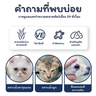 Cuttie Pettie【200แผ่น】ผ้าเช็ดทำความสำอาดตา หู แมว แผ่นเช็ดหูสุนัข หมา แผ่นขจัดคราบน้ำตาสัตว์เลี้ยง ราคาถูก พร้อมส่ง
