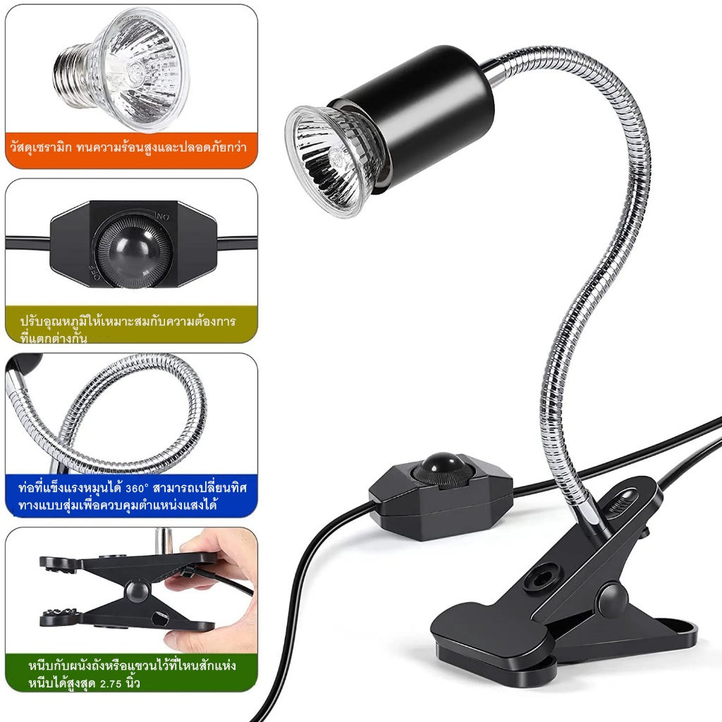 รูปภาพ 4