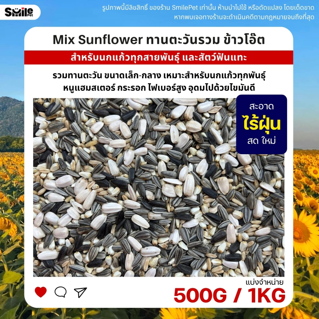 ทานตะวันรวม ข้าวโอ๊ต เมล็ดดอกคำฝอย อาหารนกแก้วทุกสายพันธุ์ และสัตว์ฟันแทะ (แบ่งขาย 250G / 500G / 1KG)