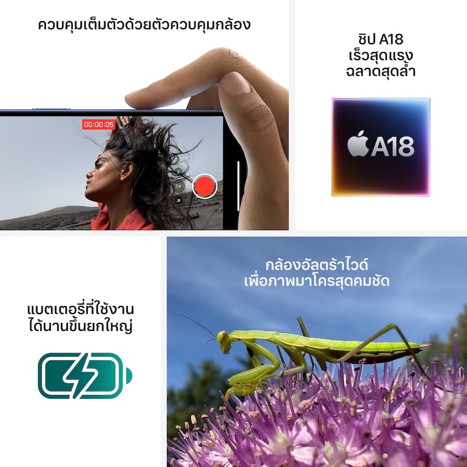 รูปภาพ 7