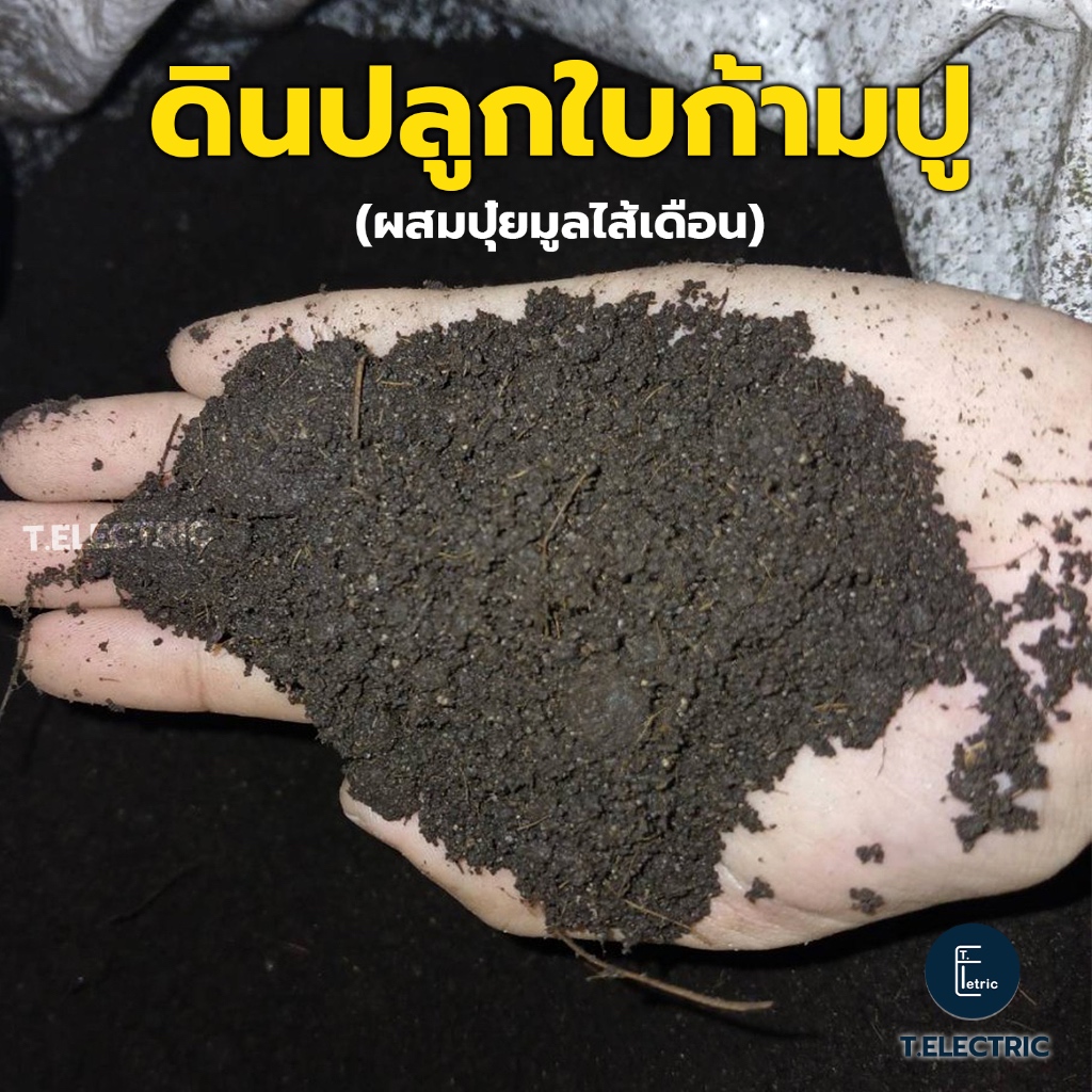 ดินผสมใบก้ามปู 900g. (ผสมปุ๋ยมูลไส้เดือน) ดินปลูกต้นไม้ ดินผสมละเอียด ดินมูลไส้เดือน ธาตุอาหารสูง