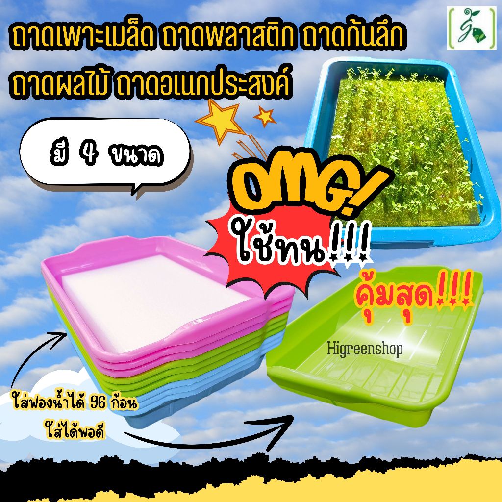 ถาดเพาะเมล็ด ถาดพลาสติก ถาดก้นลึก ถาดผลไม้ ถาดอเนกประสงค์