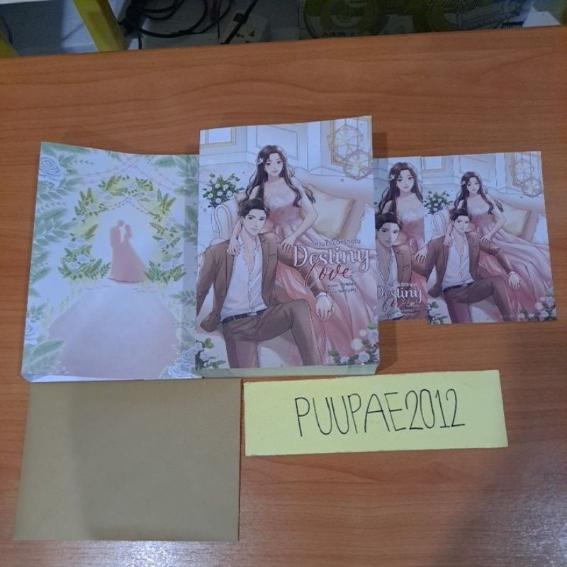 Destiny Love ห้ามใจไม่ให้รักคุณ/พรีเมี่ยมรอบจอง/minnik