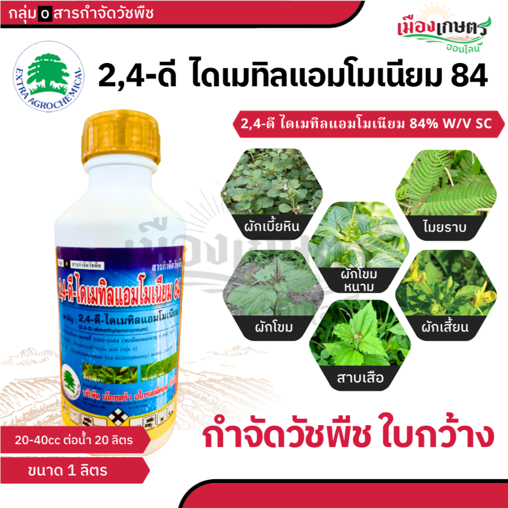 24-ดี ไดเมทิลแอมโมเนีย 1ลิตร สารป้องกันจากหญ้า ใบแคบ ใบกว้าง แบบดูดซึม และ เผาไหม้ หญ้าขน หญ้าคา แห้วหมู สลายตัวง่ายไม่