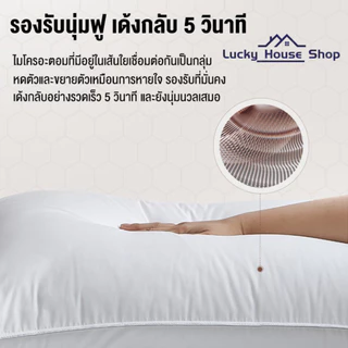 🏨【LHS】หมอนสุขภาพ 2 ด้าน ✨ต่ำ/สูง+โรงแรม5ดาว ✅แก้ปวดคอ-กันไรฝุ่น 📏หนานุ่มพิเศษ 📦ส่งด่วน ชุดเครื่องนอนโรงแรม