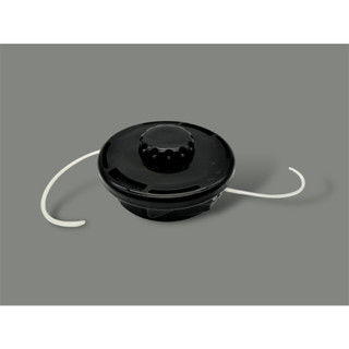 กระปุกเอ็นออโต้มาร์เท่นNS2AP