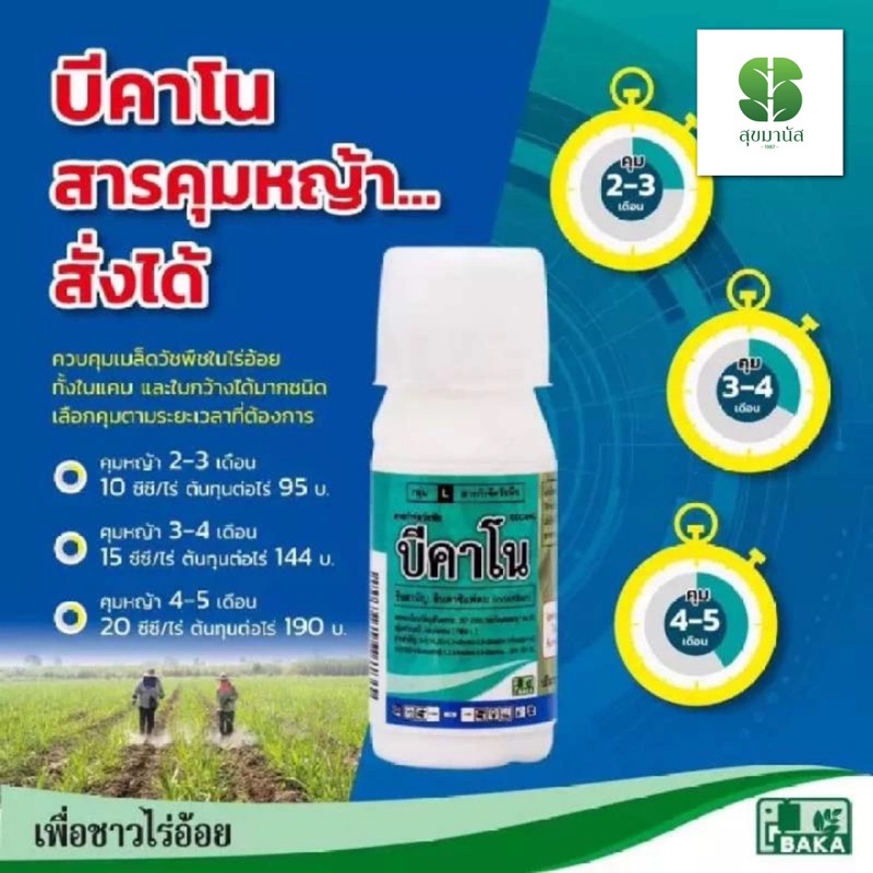 บีคาโน คุมเปียกวัชพืชใบกว้าง ใบแคบ ขนาด 100 ซีซี