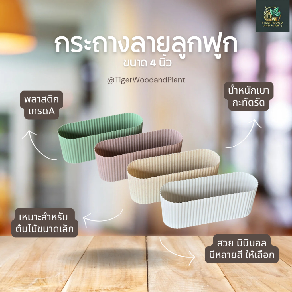 กระถางต้นไม้ ลายลูกฟูก พลาสติก กระถางราง 4นิ้ว
