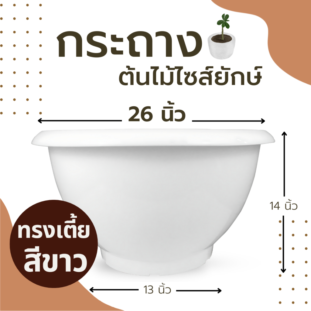 กระถาง 26 นิ้ว กระถางไซร์ยัก อ่างบัว หนาพิเศษ ทรงเตี้ย