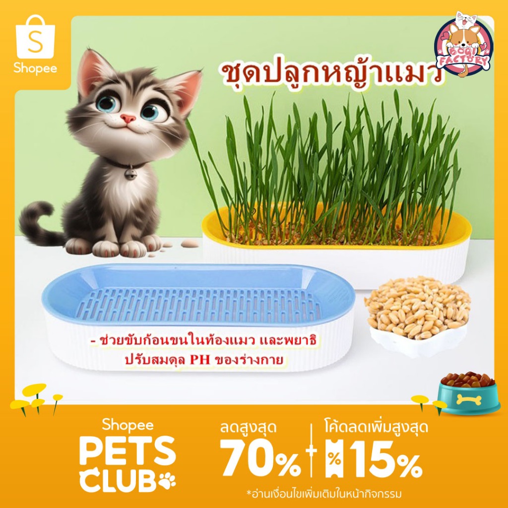 Boqi Factory 🌱ชุดปลูกหญ้าแมว🌱 หญ้าแมวออแกนิก เมล็ดข้าวสาลี ถาดเพาะต้นอ่อน 1 ชุด YC-509