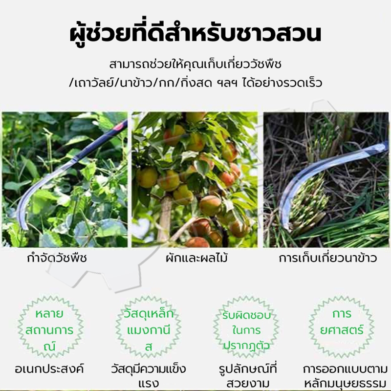 SA เคียวแมงกานีส 70CM เคียวปาดตองด้ามแป๊บยาว เคียวเกี่ยวหญ้า เคียวตัดหญ้า มีดดายหญ้า มีดถางหญ้า แข็งแรงคงพิเศษ - รูปที่ 2