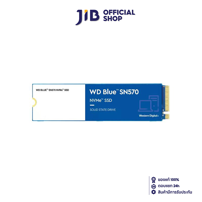 250 GB SSD (เอสเอสดี) WD BLUE SN570 - PCIe 3/NVMe M.2 2280 (WDS250G3B0C)