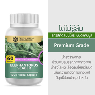 โด่ไม่รู้ล้ม Elephantopus scaber Herb Capsule 100% (เกรดพรีเมี่ยม) ชนิดแคปซูล บรรจุ 60 เม็ดแคปซูล