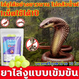 🐍ยาไล่งูแบบเข้มข้น🐍ไล่งู ไล่งูได้อย่างยาวนาน ไม่กลัวน้ำฝนแจก กํามะถันไล่งู มีประสิทธิภาพ100วัน สารไล่งู ยาไล่งู