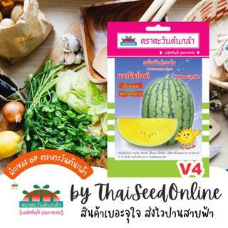 ADV ซฟ เมล็ดพันธุ์ แตงโมเยลโล่สไมล์ แตงโมเหลือง ตราตะวันต้นกล้า V4