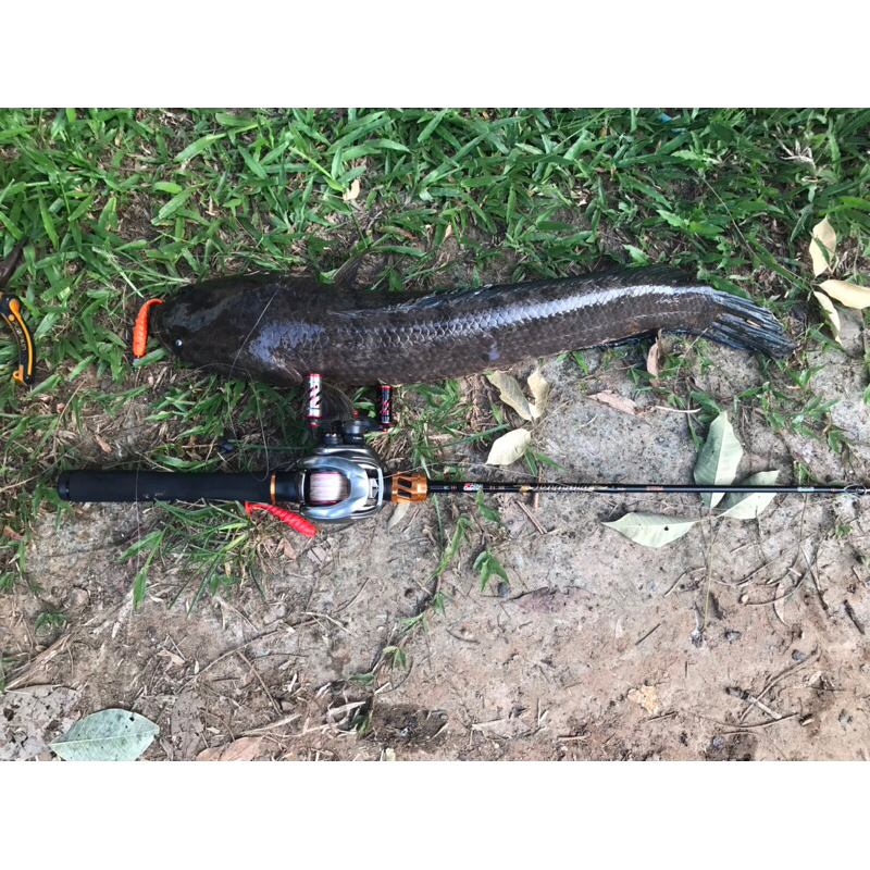 หนอนยาง จากค่าย Hunsa Bait รุ่น Hunsa Spike - 6