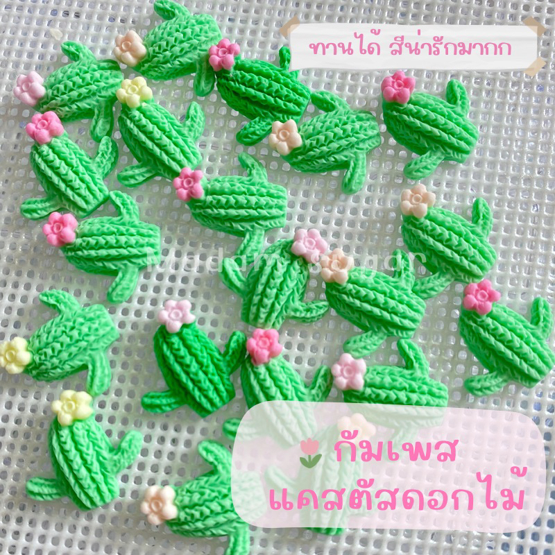Madame Sugar: น้ำตาลกัมเพส ”แคสตัสดอกไม้” 🌵 : มาดามซูการ์