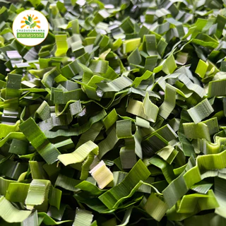 ใบเตยอบแห้ง 50-250 กรัม คุณภาพ A+ มาตรฐาน GMP สมุนไพร Dried Pandan Leaf Top Quality ตรา ชาดาสุวรรณ์ Chadasuwanna