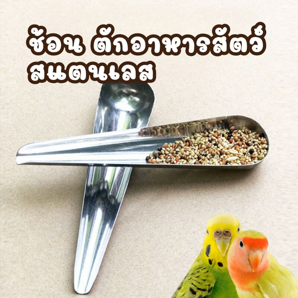 พร้อมส่ง จากไทย🇹🇭 ช้อนให้อาหาร นก ช้อนตักอาหารสัตว์ ช้อนตักอาหารนก แสตนเลส เหล็ก
