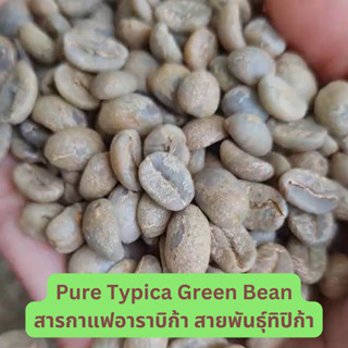 สารกาแฟอาราบิก้า พันธุ์ทิปปิก้า (Typica Coffee Green Bean Arabica) ปลูกบนดอยสูง 1500 หอมชัดแตกต่าง เมล็ดใหม่ปี 66 - 1 กก