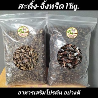 จิ้งหรีดอบแห้ง1kg. อาหารโปรตีนสูง อาหารแฮมส์เตอร์ อาหารชูก้า เม่นแคระ และสัตว์กินแมลงทุกชนิด หอมอร่อย แมลงอบแห้ง