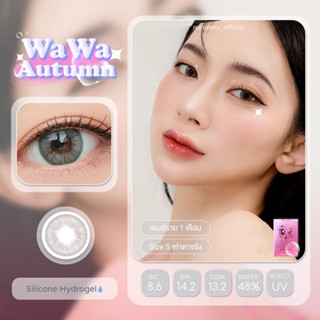 Nanalens/Sisse Lens รุ่น WaWa สี Autumn คอนแทคเลนส์รายเดือน