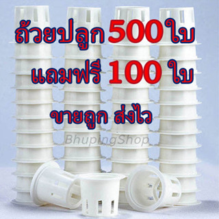 ส่งไว! ขายถูก! ชุดถ้วยปลูกผักไฮโดรโปรนิกส์  500ใบ ฟรี 100ใบ |ถ้วยปลูกผักสลัด รับประกันคุณภาพ หนาเหนียวทนทาน คุ้มค่ามาก