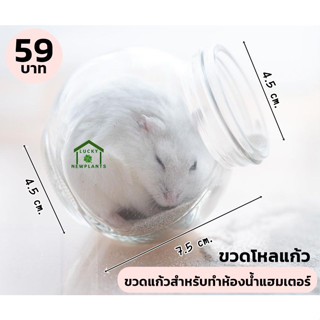 ขวดโหลแก้ว ห้องน้ำแฮมเตอร์ ขนาดเล็ก 59 บาท และสำหรับเก็บอาหาร