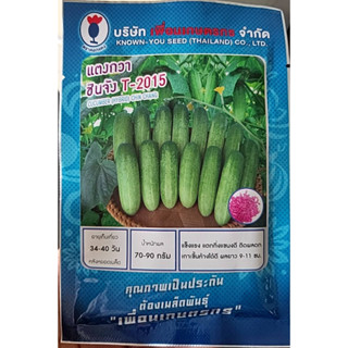 เมล็ดพันธุ์  🥒 แตงกวา🥬 ผักสวนครัว 🍍แตงกวา ชินจัง T-2015🥒บรรจุ 20กรัม