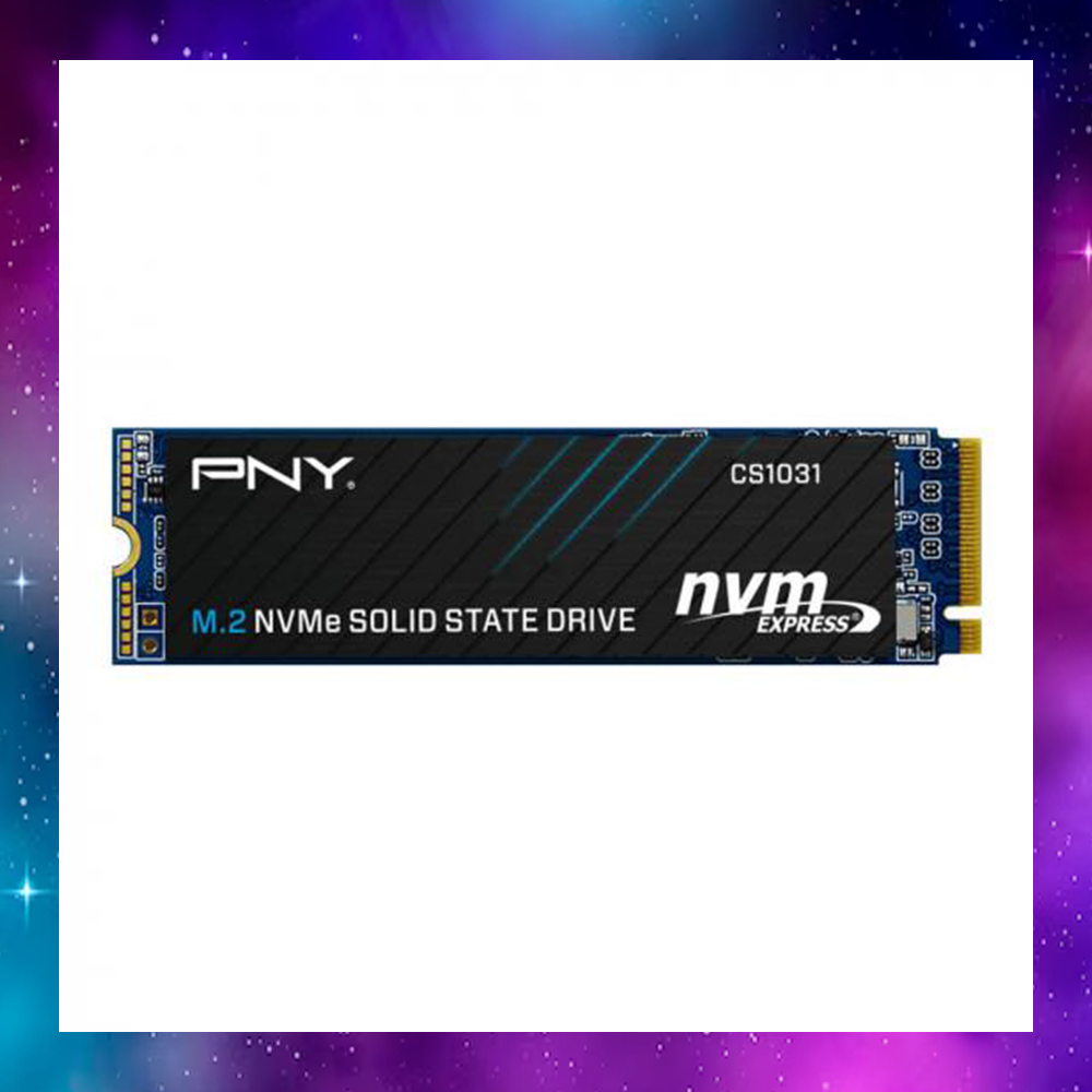 500 GB SSD (เอสเอสดี) PNY CS1031 M.2 NVME (M280CS1031-500-CL) ใช้งานปกติ