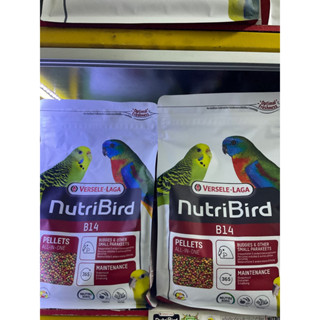 nutri Bird # B14 New packageอาหารนกหงส์หยกและพารากีต เลิฟเบิร์ดและนกแก้วพันธ์เล็