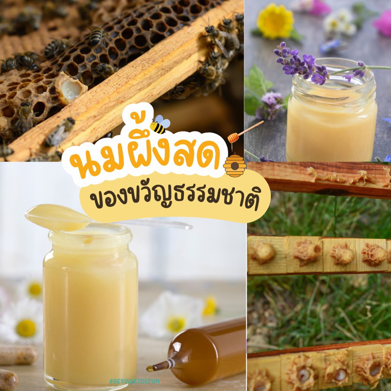 Royal jelly นมผึ้งสด นมผึ้ง