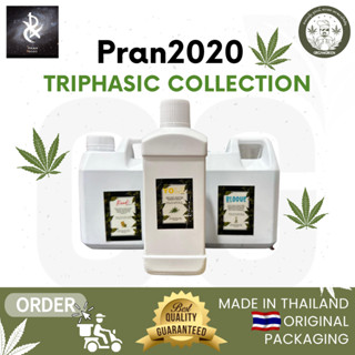 Pran2020 ปุ๋ยหลัก - Triphasic fertilizers ปุ๋ยดีๆ ปุ๋ยหายาก ฝีมือคนไทยได้ผลผลตที่ดี