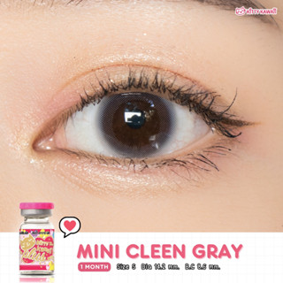 คอนแทคเลนส์ Kitty kawaii รุ่นMini Cleen Gray