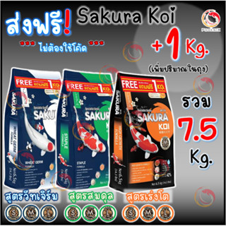 📌มี 4 โปร+ส่งฟรี ❗ 🟠 อาหารปลาคาร์ฟ Sakura Koi (ซากุระ โค่ย) 🟠 High Growth สูตรเร่งโต โปรตีน42% ขนาด 6.5 กก. เม็ดจม/ลอย