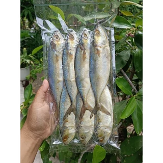 ปลาทูมันทำตากปลาทูสด เค็มน้อย เนื้อแน่นทอดแล้วเนื้อไม่แตกผง