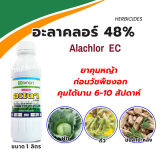 อะลาคลอร์ 48% ยาคุมหญ้า คุมทั้งวัชพืชใบแคบและใบกว้าง คุมข้าวโพด มันสำปะหลัง ถั่ว ขนาด 1 ลิตร อะเฉา