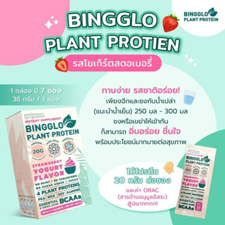 บิงโกลแพลนท์โปรตีน โปรตีนพืช 100 % Bingglo Plant Protein