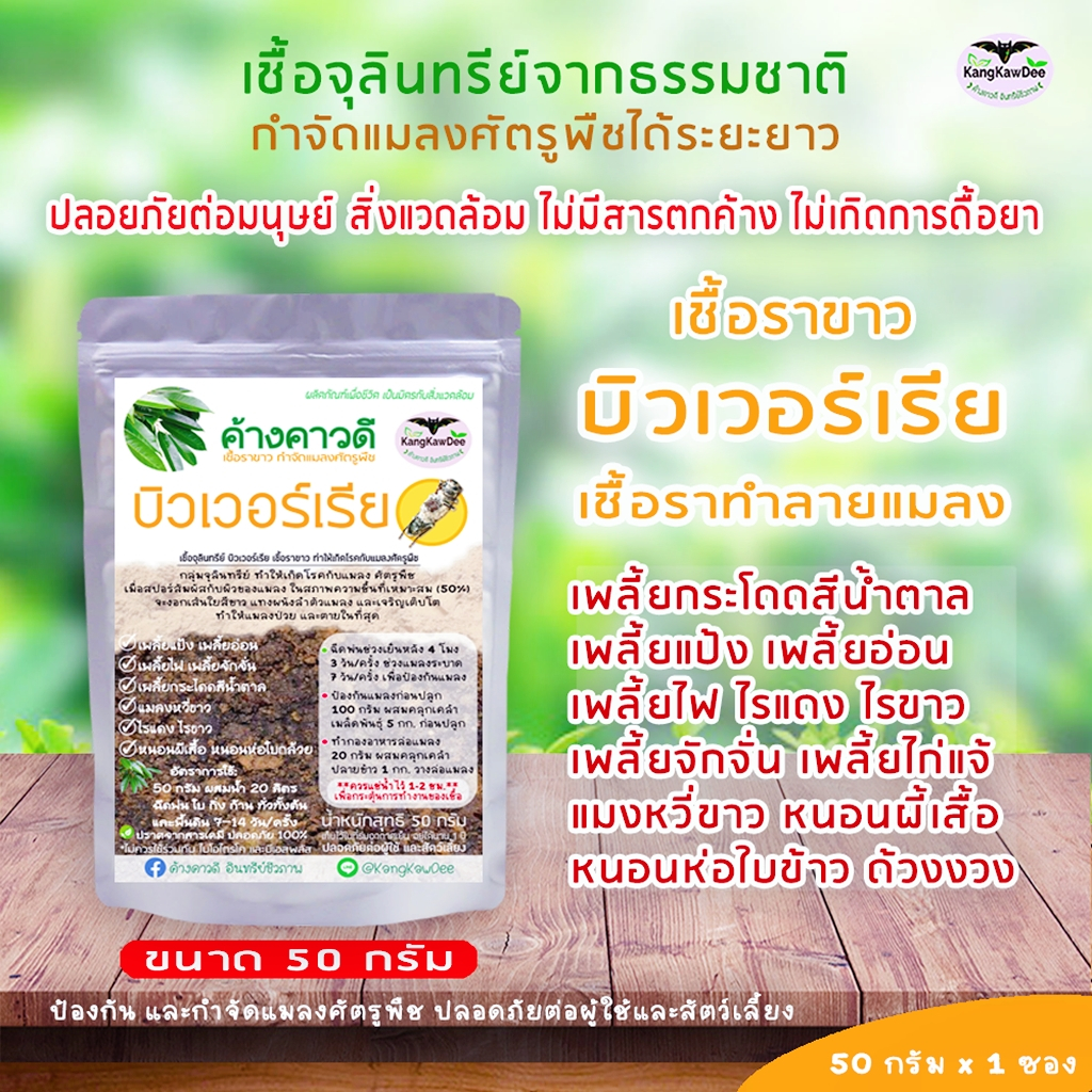 ทำลายแมลงศัตรูพืช กำจัดเพลี้ยต่างๆ หัวเชื้อบิวเวอร์เรีย ขนาด 50 กรัม ฆ่าเพลี้ยแป้ง เพลี้ยไฟ เพลี้ยจักจั่น ไรแดง หนอน
